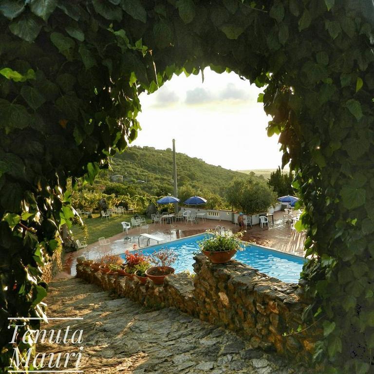 Madia (majidda) con impasto del pane - Foto di Tenuta Mauri - Agriturismo  Vota, Nocera Terinese - Tripadvisor